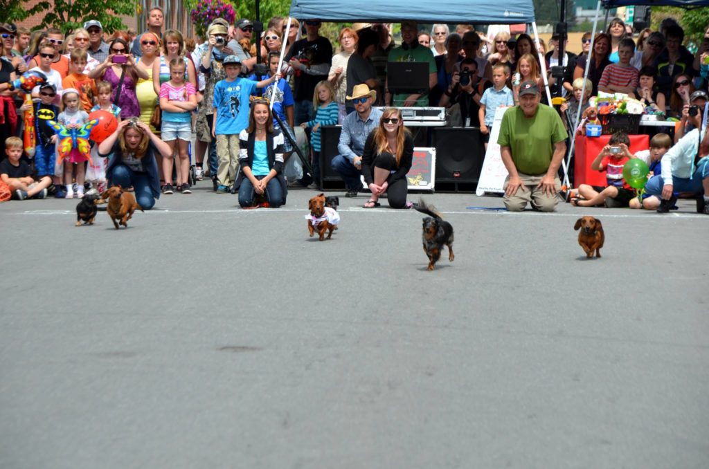 weiner races