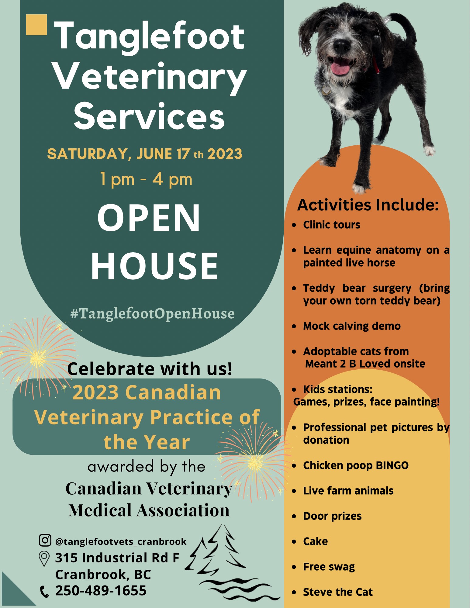 Tanglefoot Veterinary Services Open House