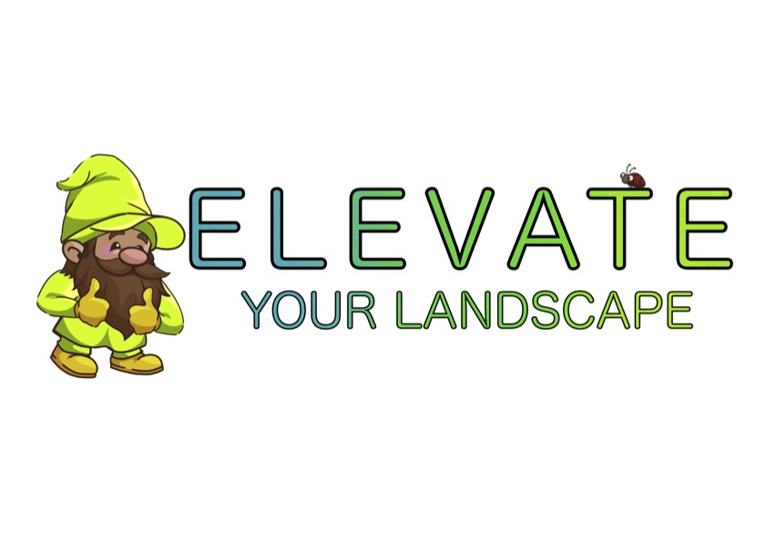 Elevate Your Landscape